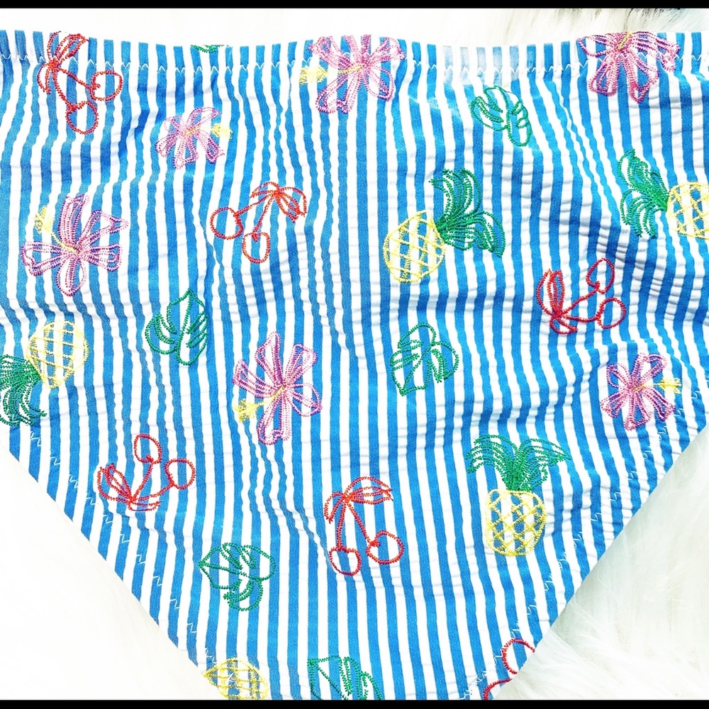 J Crew Seersucker Blue Bikini Bottom Stripe Fruit - Picture 5 of 6